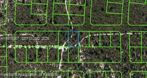 437 Souvenir Lane Property Photo 4