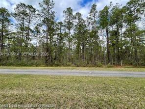 0 Oleander Drive Property Photo 3