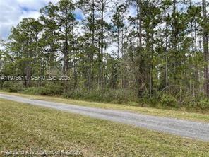 0 Oleander Drive Property Photo 5
