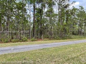 0 Oleander Drive Property Photo 15