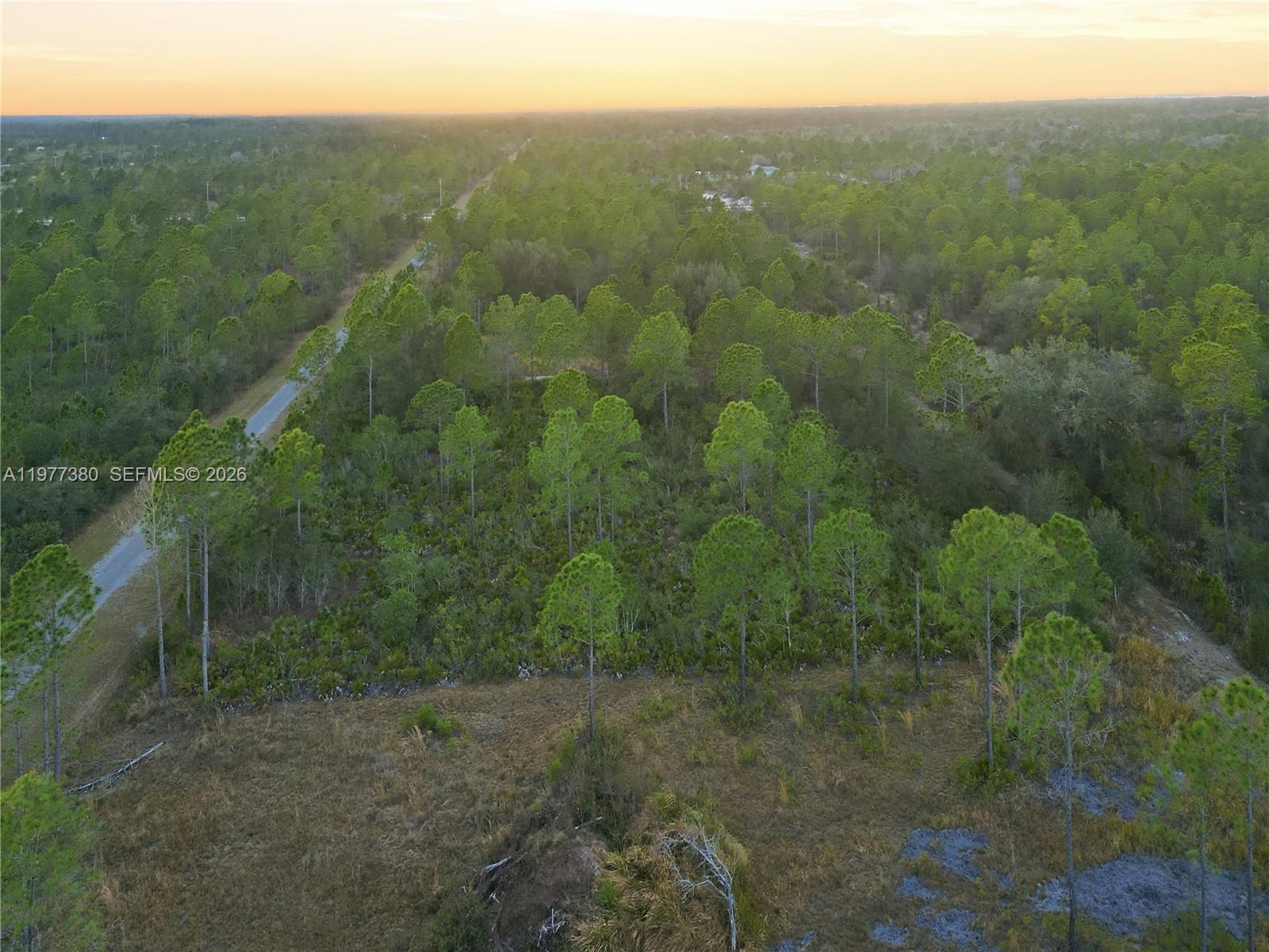 310 Tropicana Drive Property Photo 5