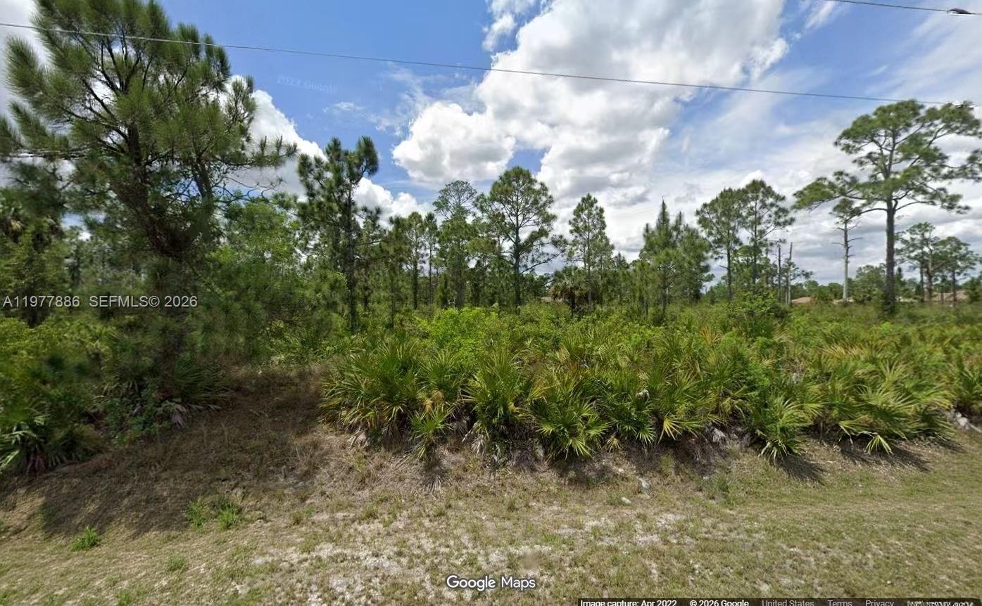 411 Leroy Avenue Property Photo 6