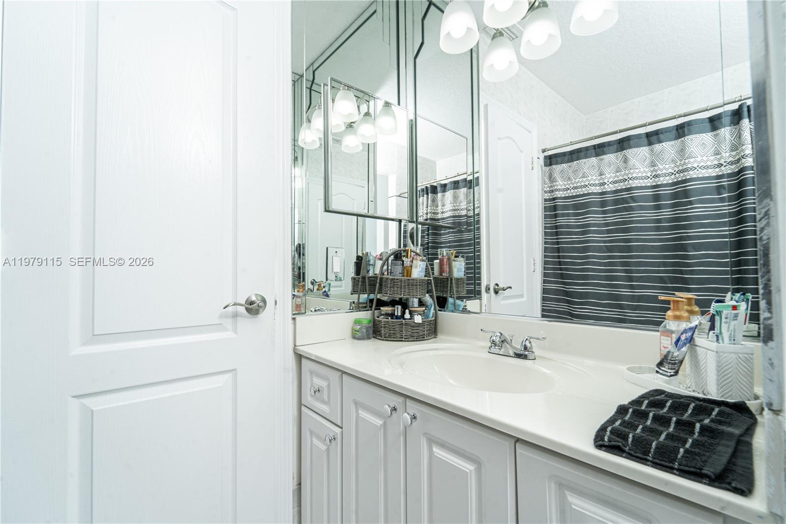 14172 Nw 87th Court Property Photo 18
