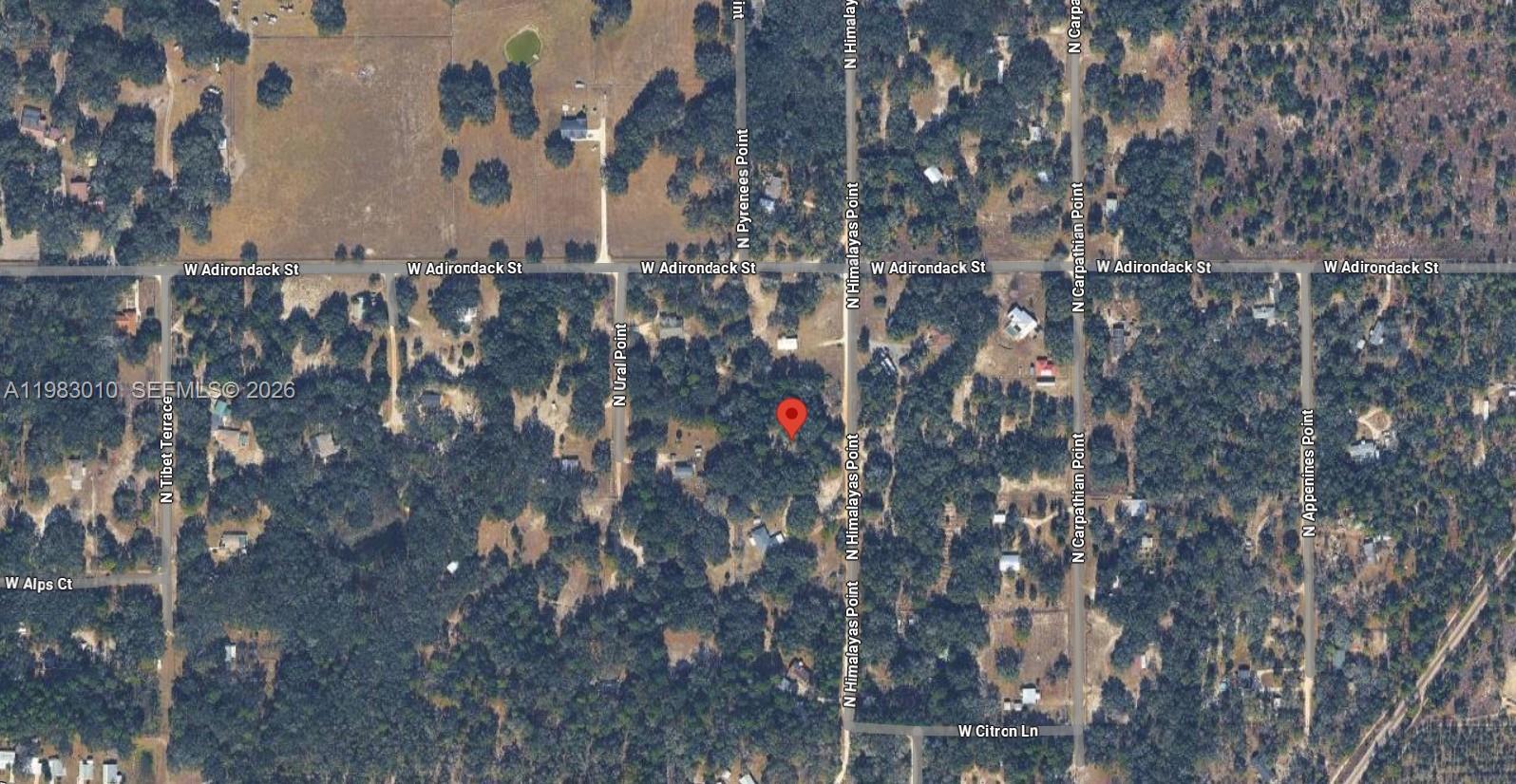 8668 N Himalayas Point Property Photo 2