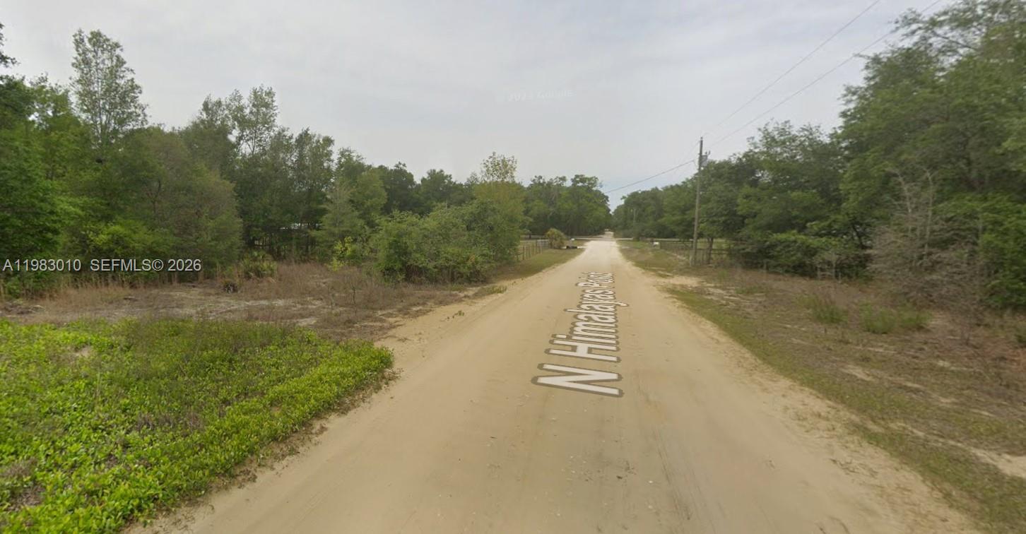 8668 N Himalayas Point Property Photo 4