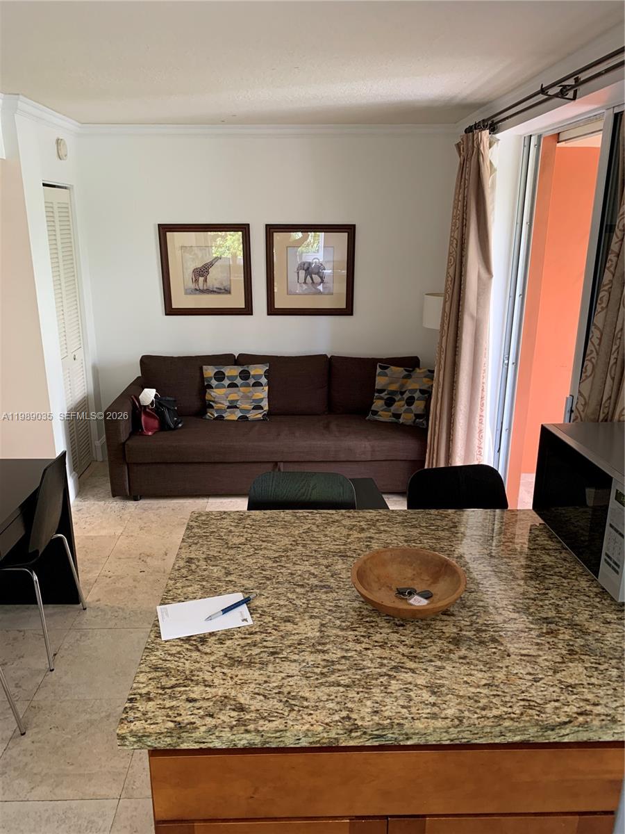 2951 S Bayshore Drive 417 Property Photo 4