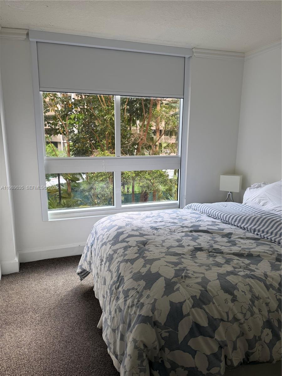 2951 S Bayshore Drive 417 Property Photo 28