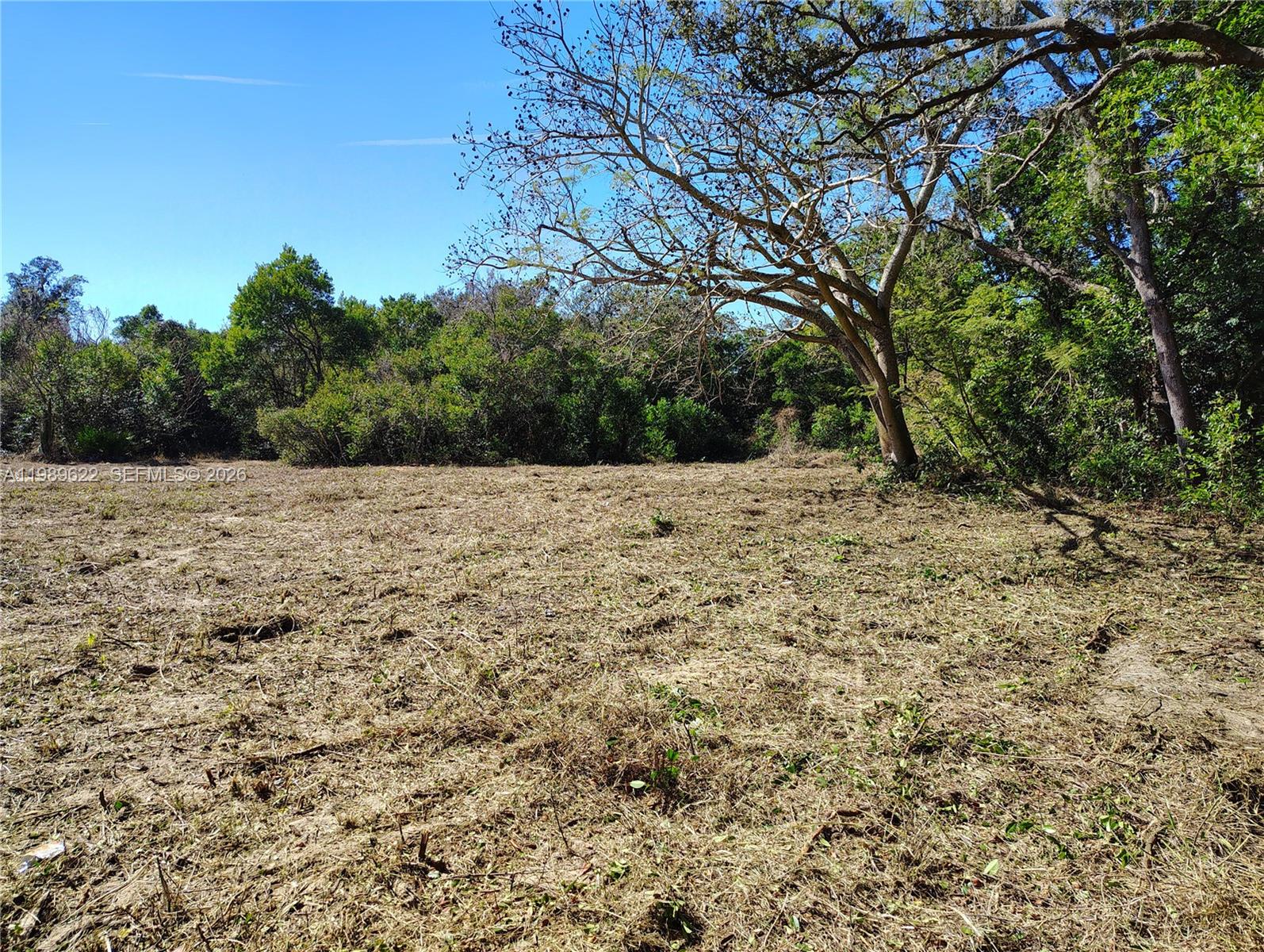3505 Bethune Property Photo 1