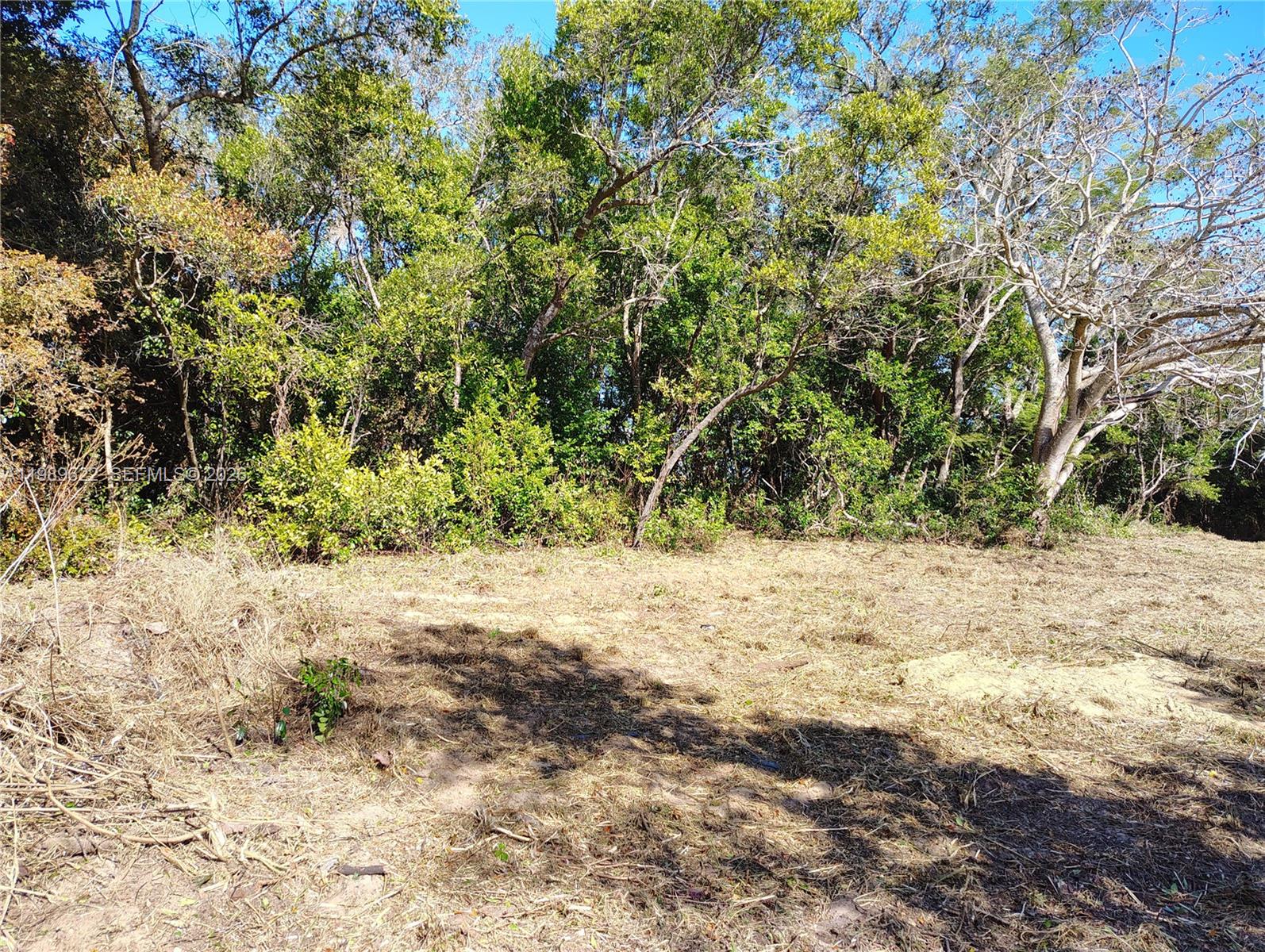 3505 Bethune Property Photo 2