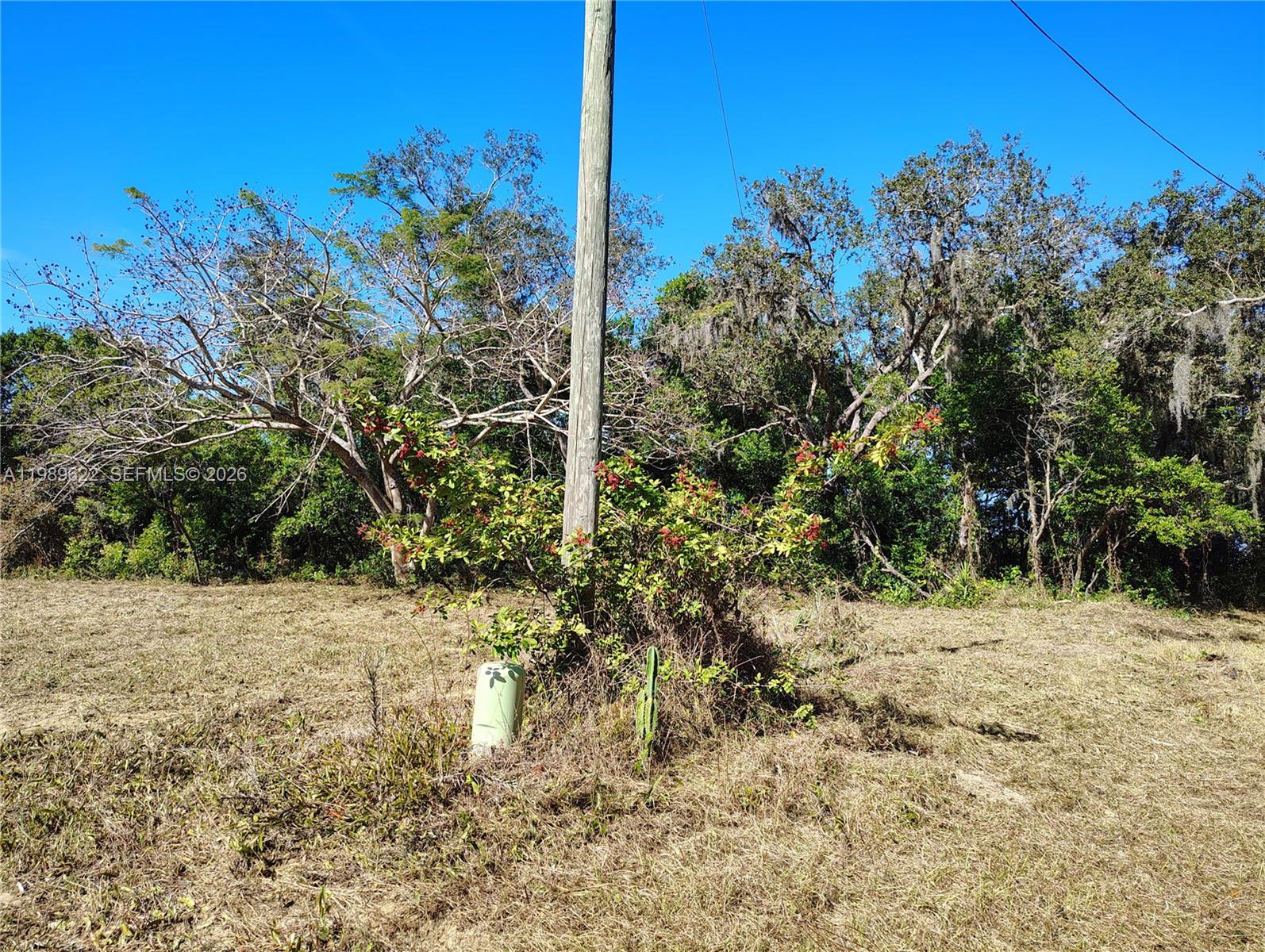 3505 Bethune Property Photo 3