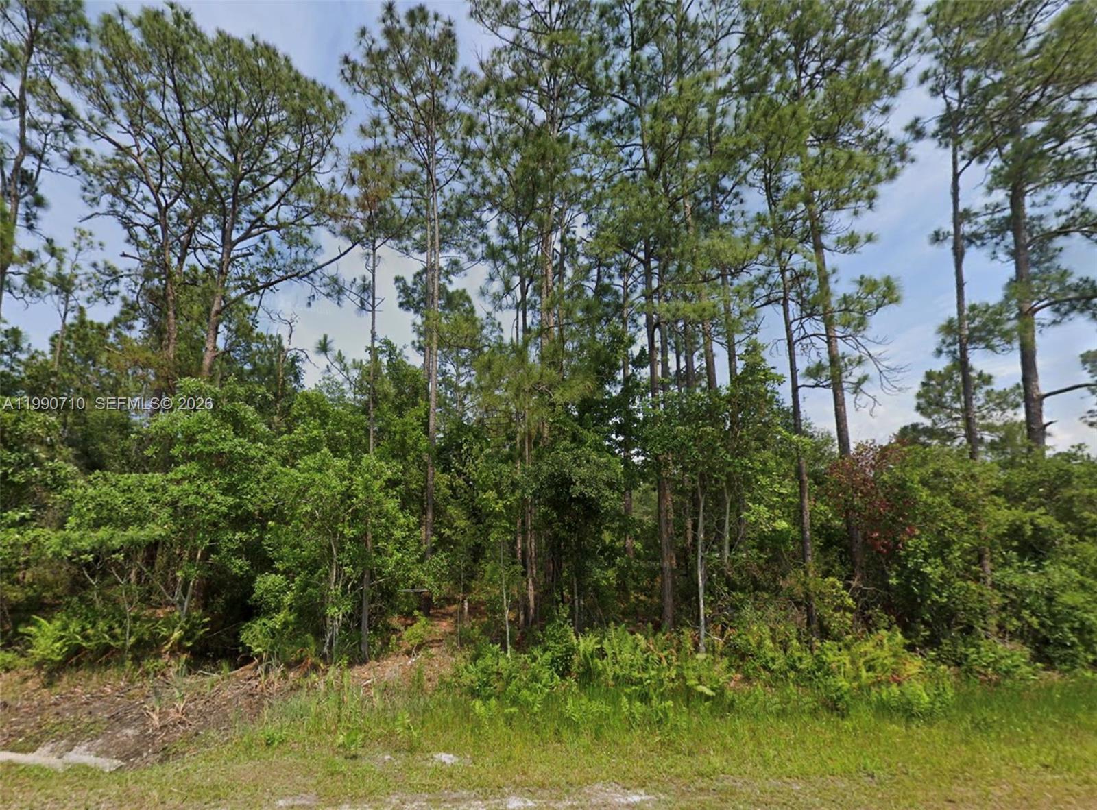 4300 Balboa Property Photo 3