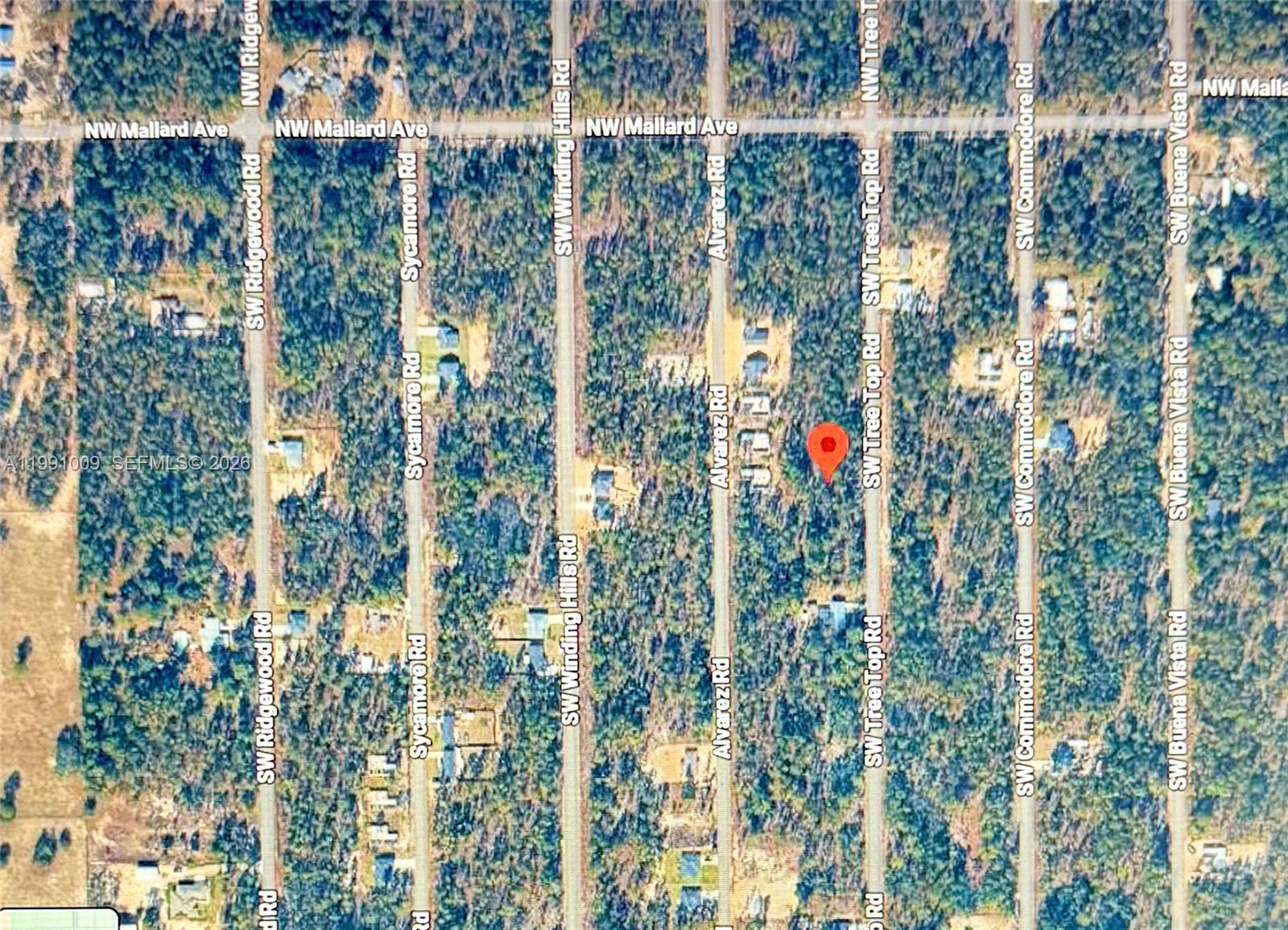 206 SW Tree Top Road