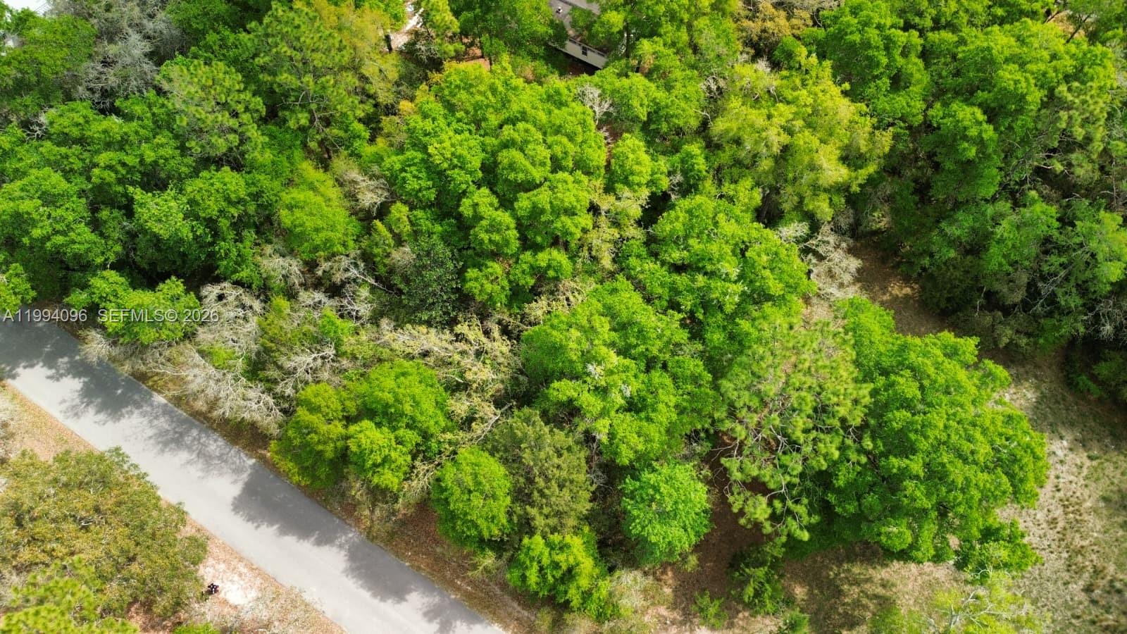 Lot 29 Nw 120th Avenue Property Photo 1
