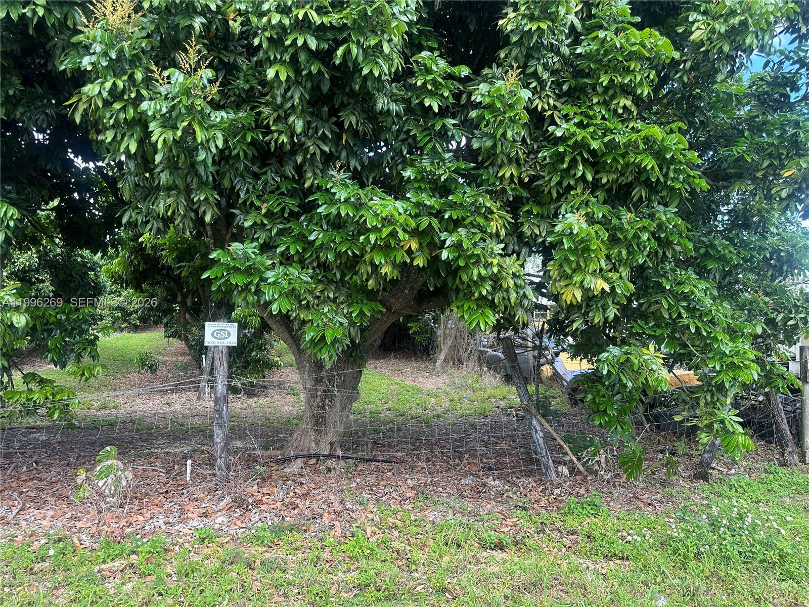A11996269 Property Photo 6