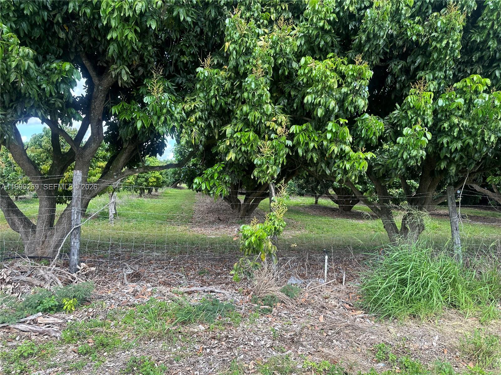 A11996269 Property Photo 8