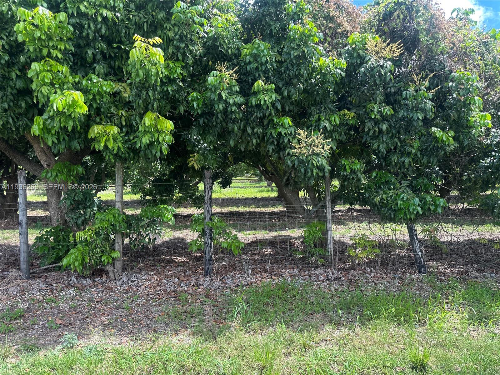 A11996269 Property Photo 12