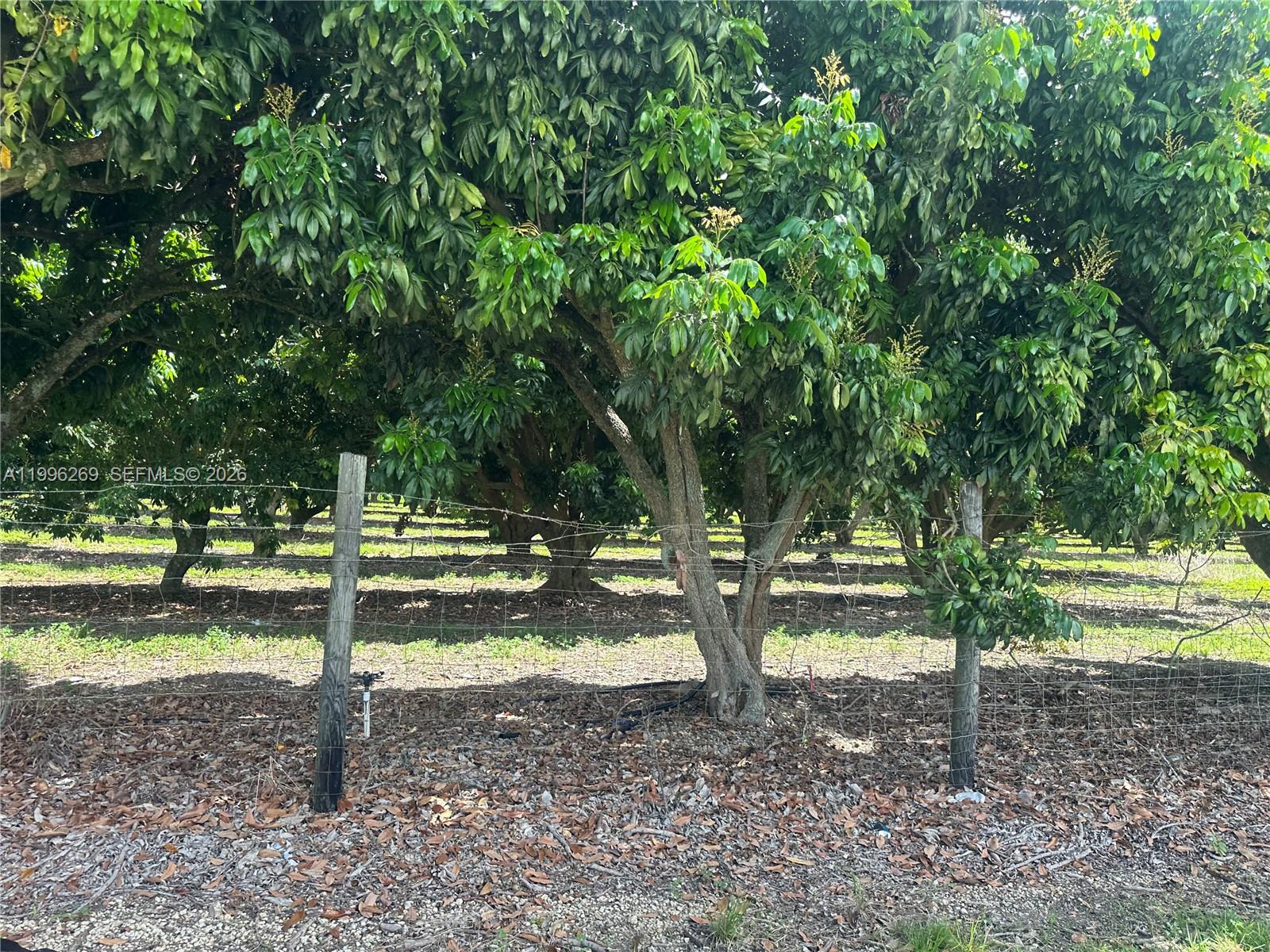 A11996269 Property Photo 15