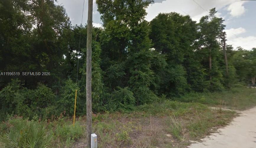 17809 Se 11 Lane Property Photo 1