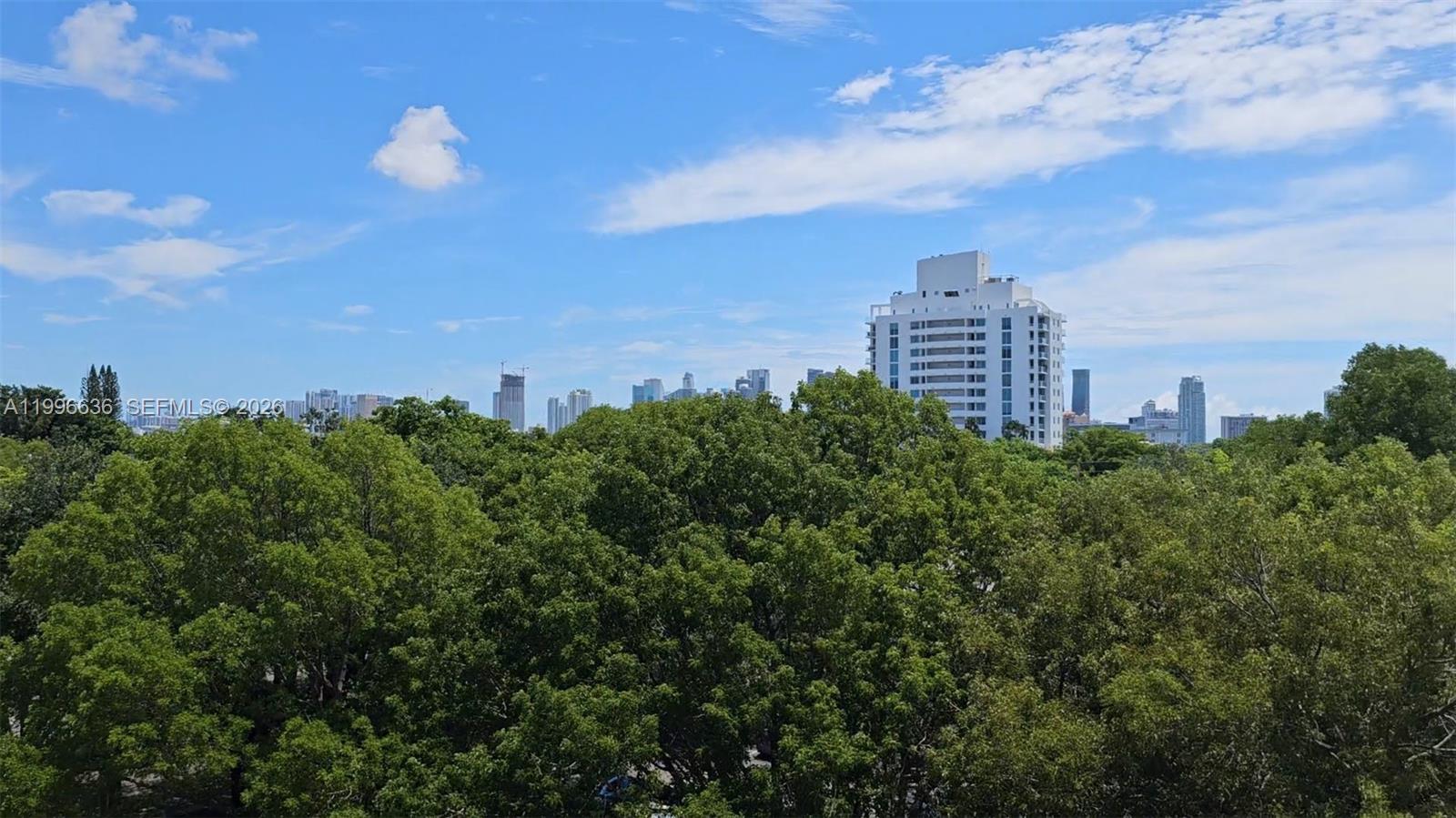 1650 Coral Way 601 Property Photo 29