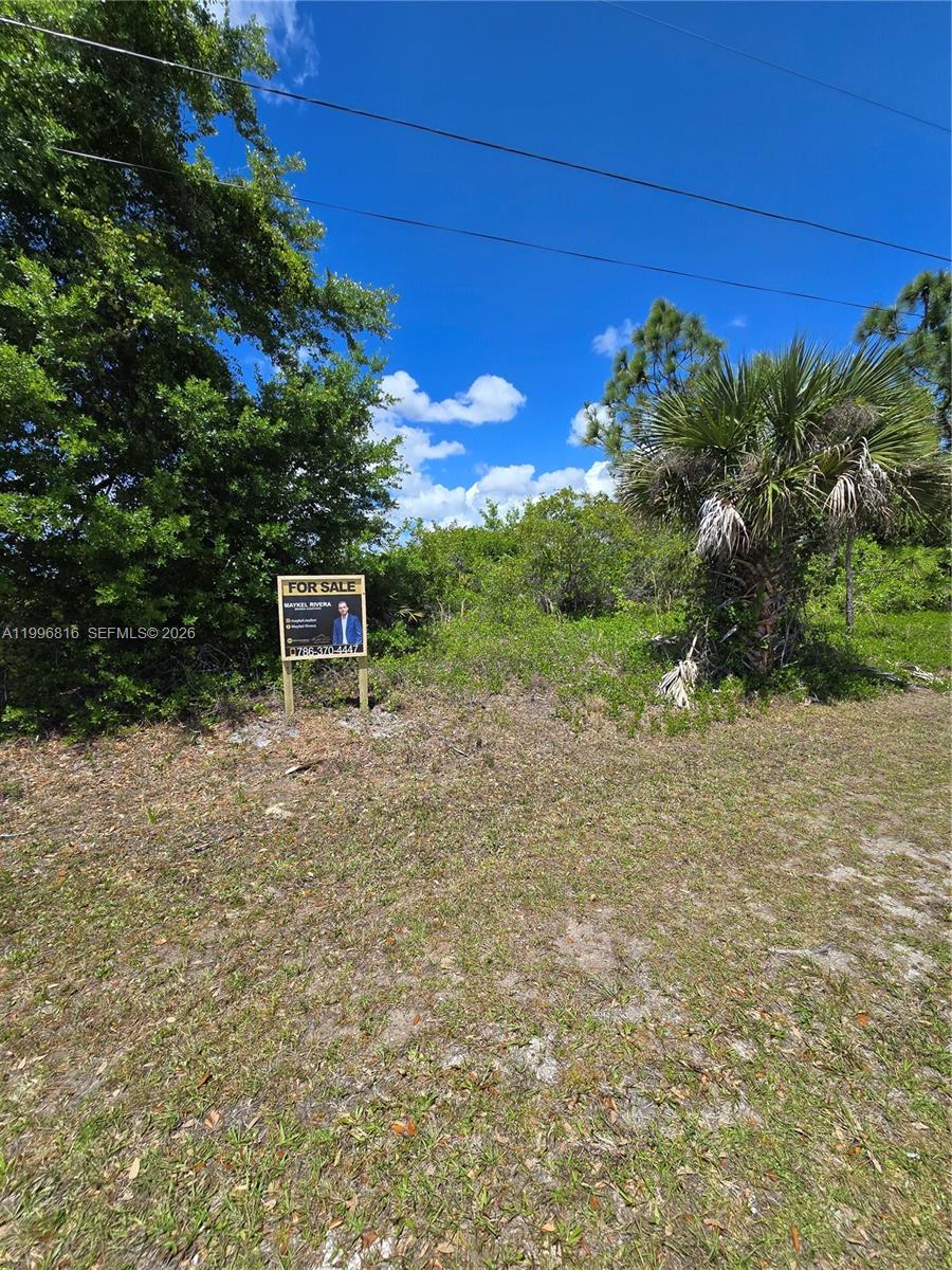 9303 Harvester Street Property Photo 2