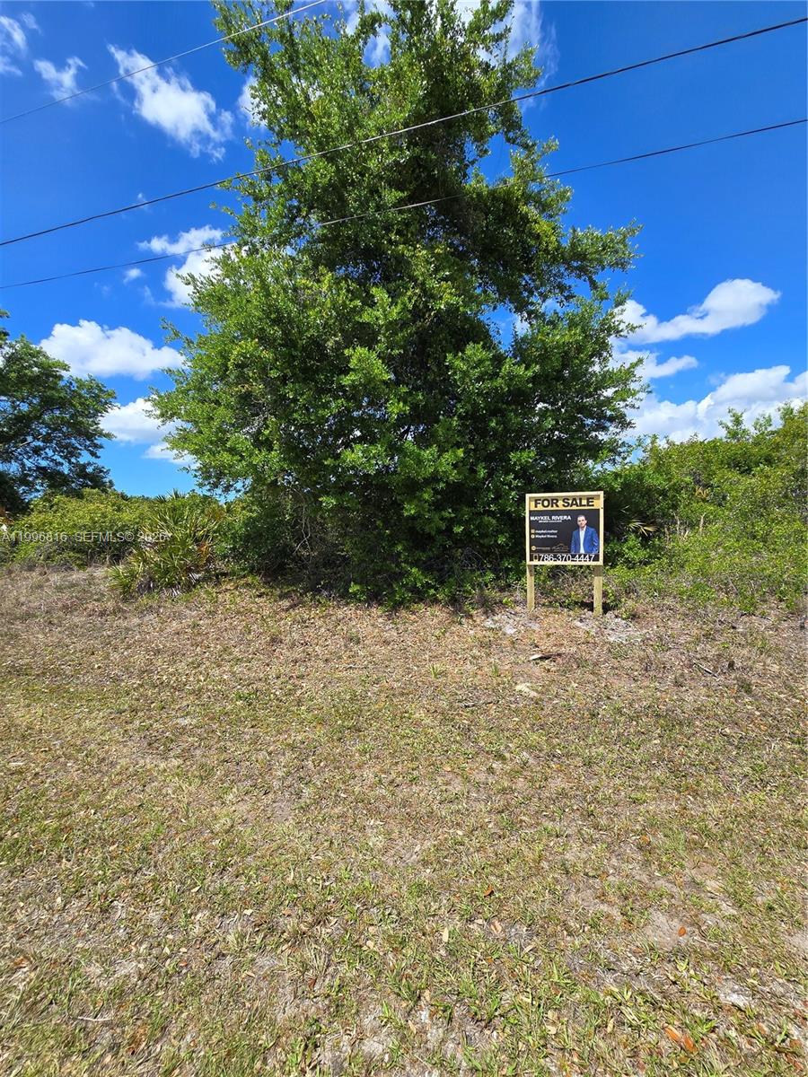 9303 Harvester Street Property Photo 3