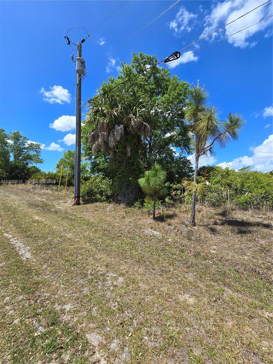 9303 Harvester Street Property Photo 4