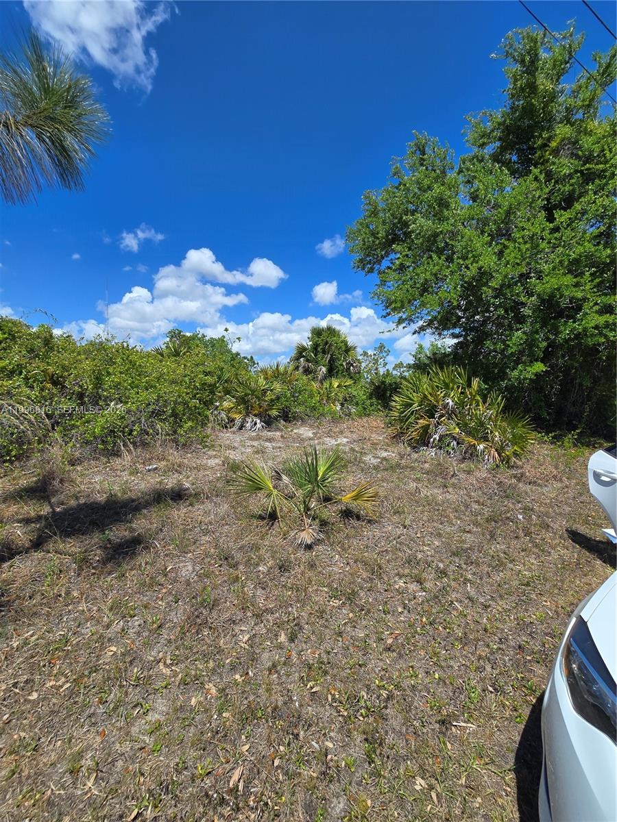 9303 Harvester Street Property Photo 5