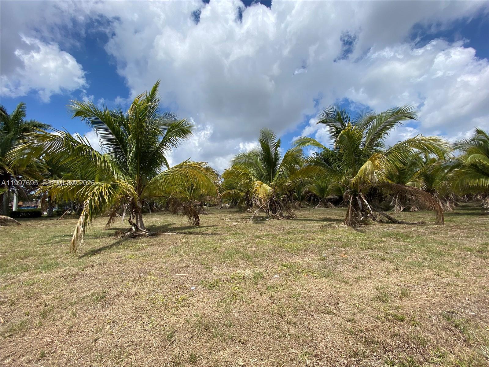 4411 Forest Hill Boulevard Property Photo 3