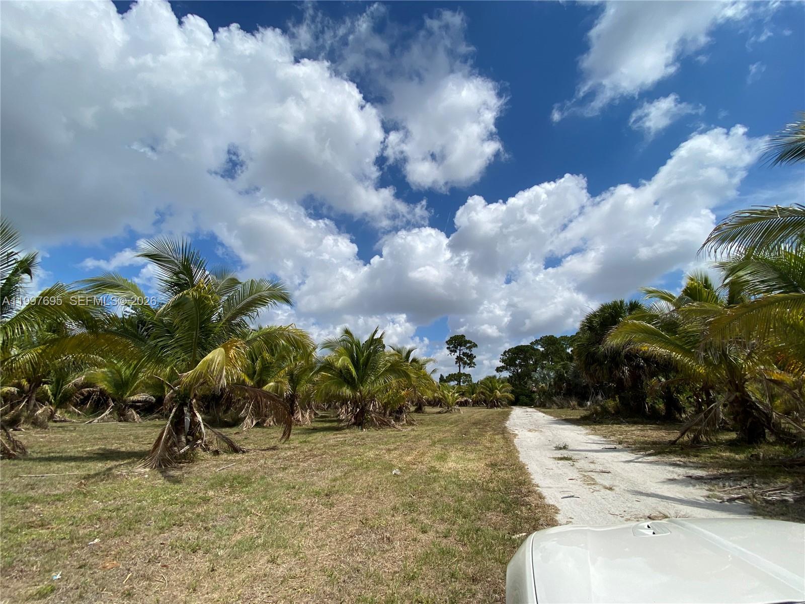 4411 Forest Hill Boulevard Property Photo 4