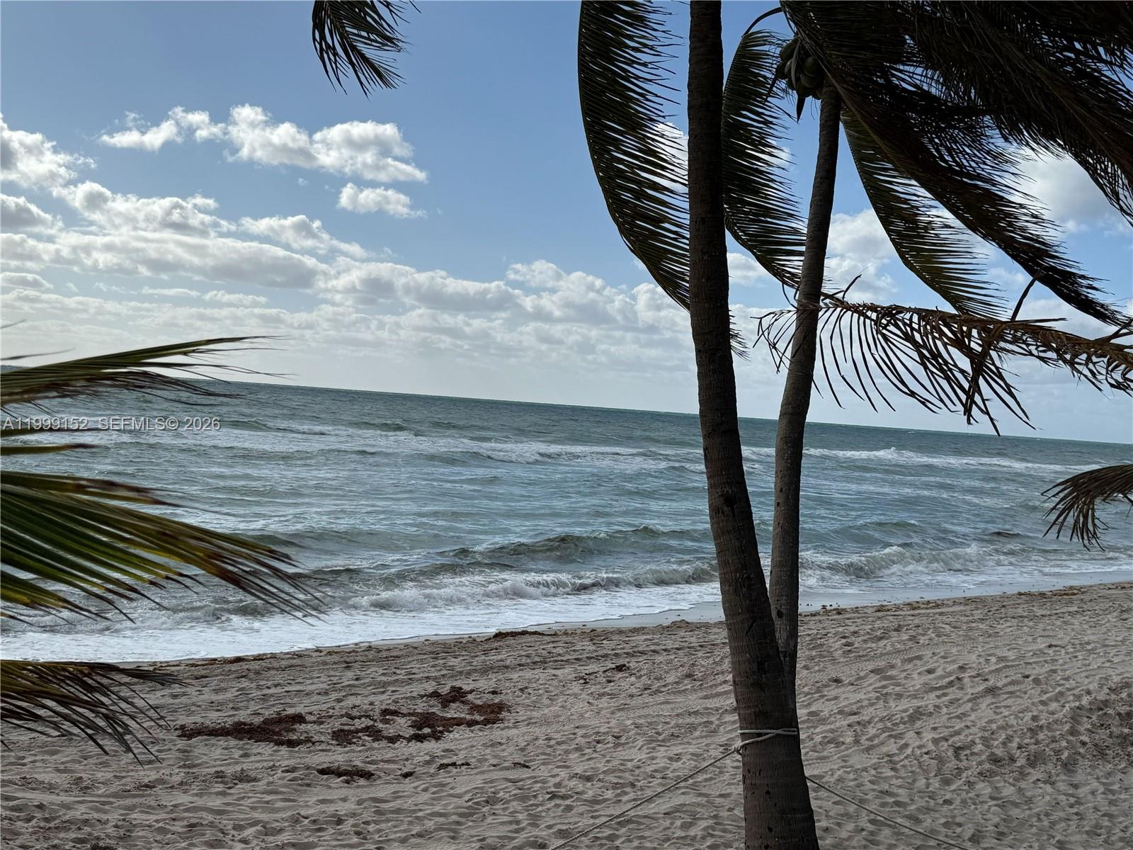 2030 S Ocean Drive 803 Property Photo 39