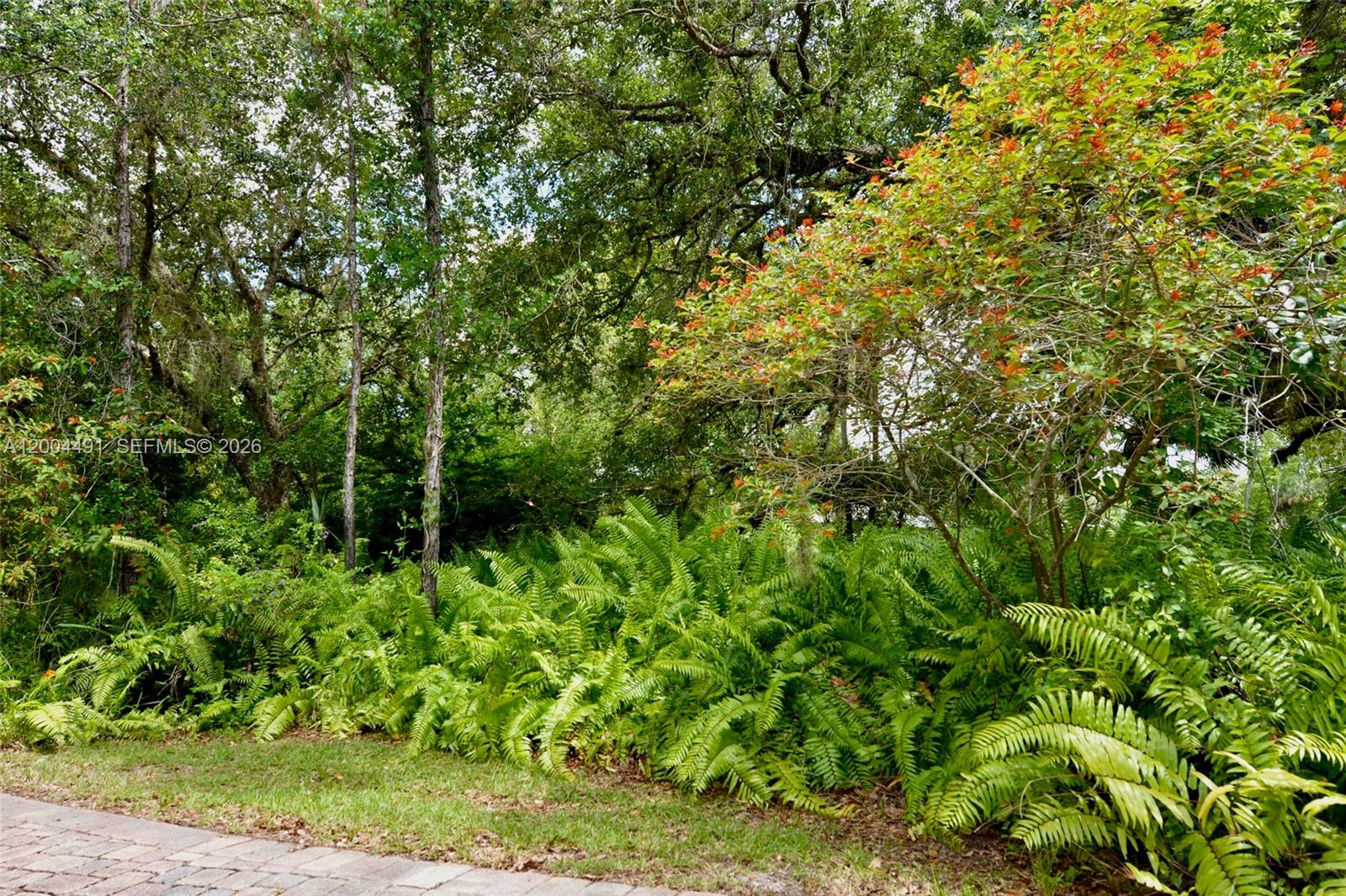 18220 Elmwood Property Photo 35