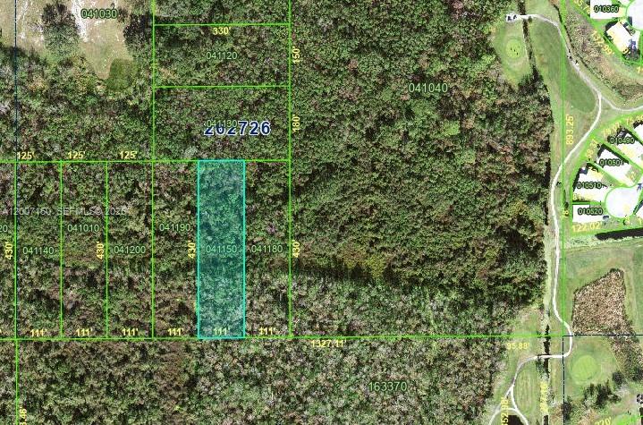 0 Us Highway 17 Property Photo 1