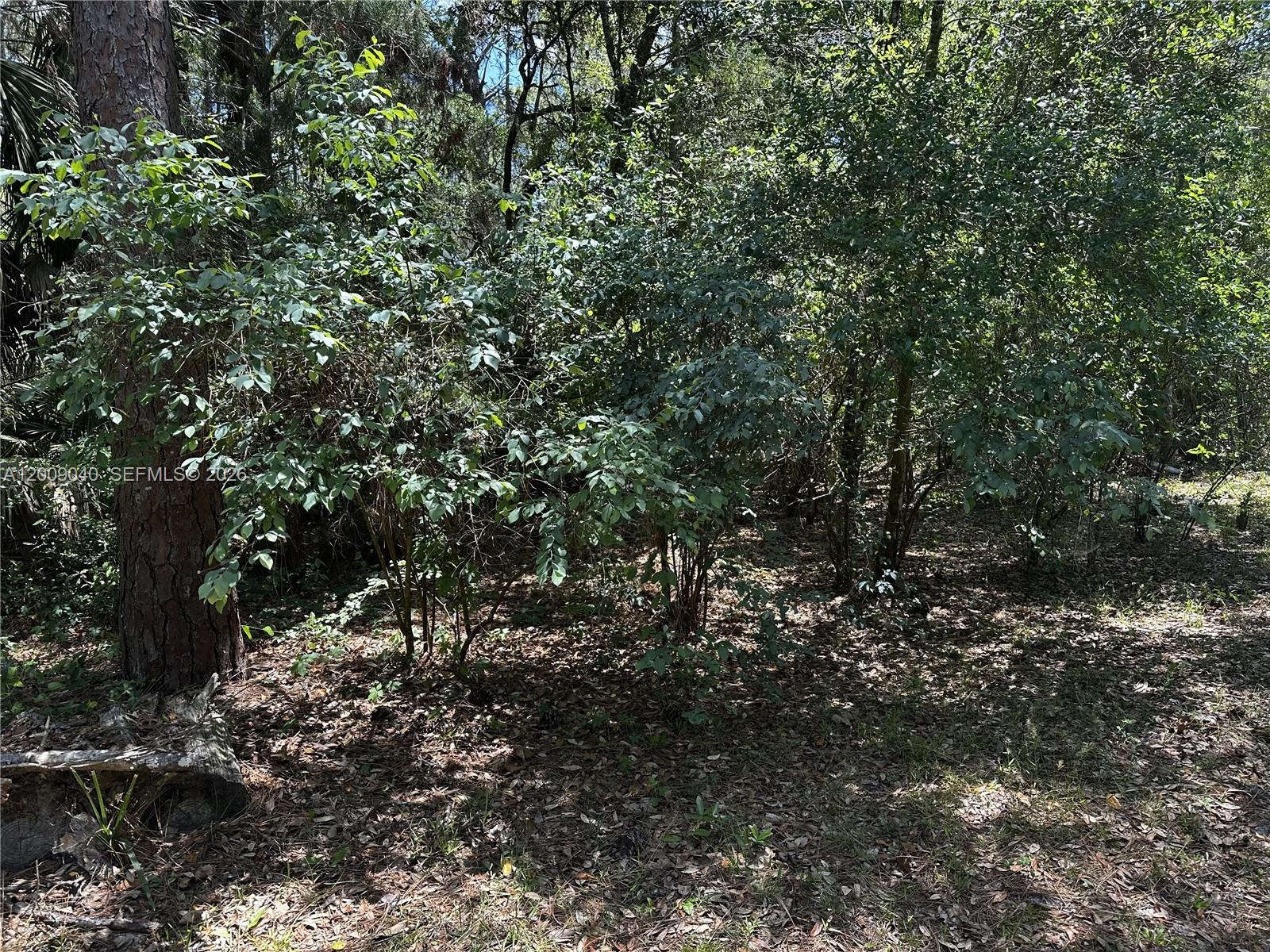 7294 W Vineyard Drive Property Photo 11