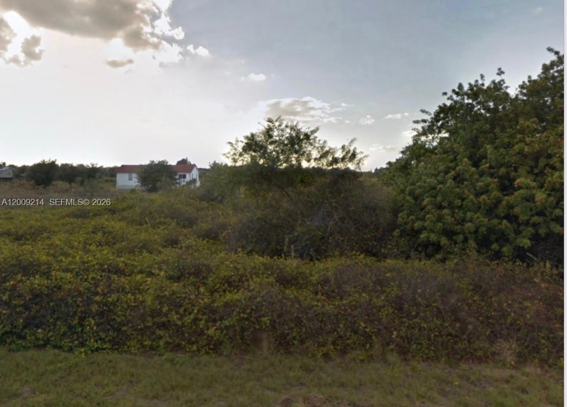 1419 Irving Avenue Property Photo 1