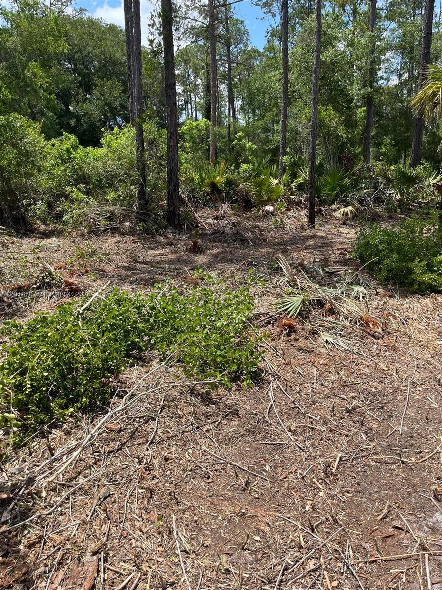 117 Lodge Pole Circle Property Photo 3