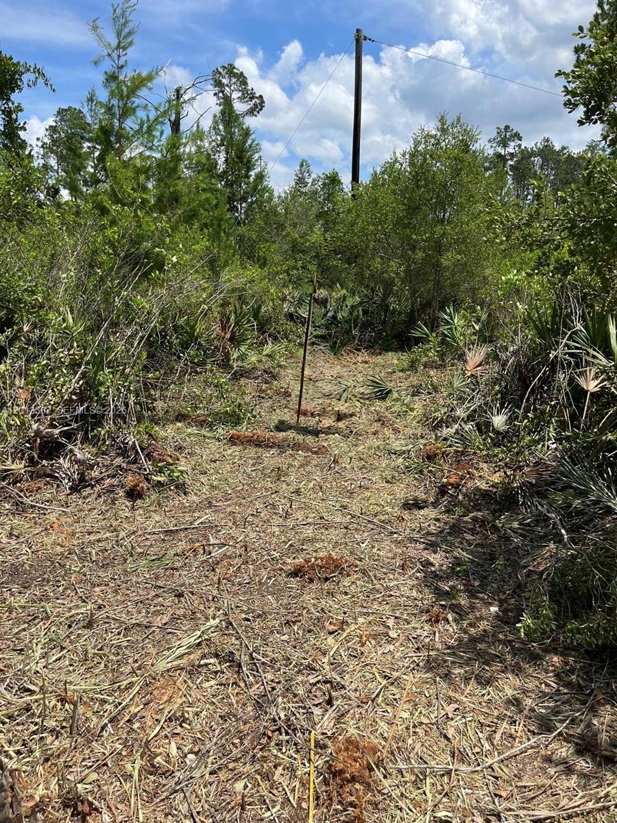 117 Lodge Pole Circle Property Photo 4