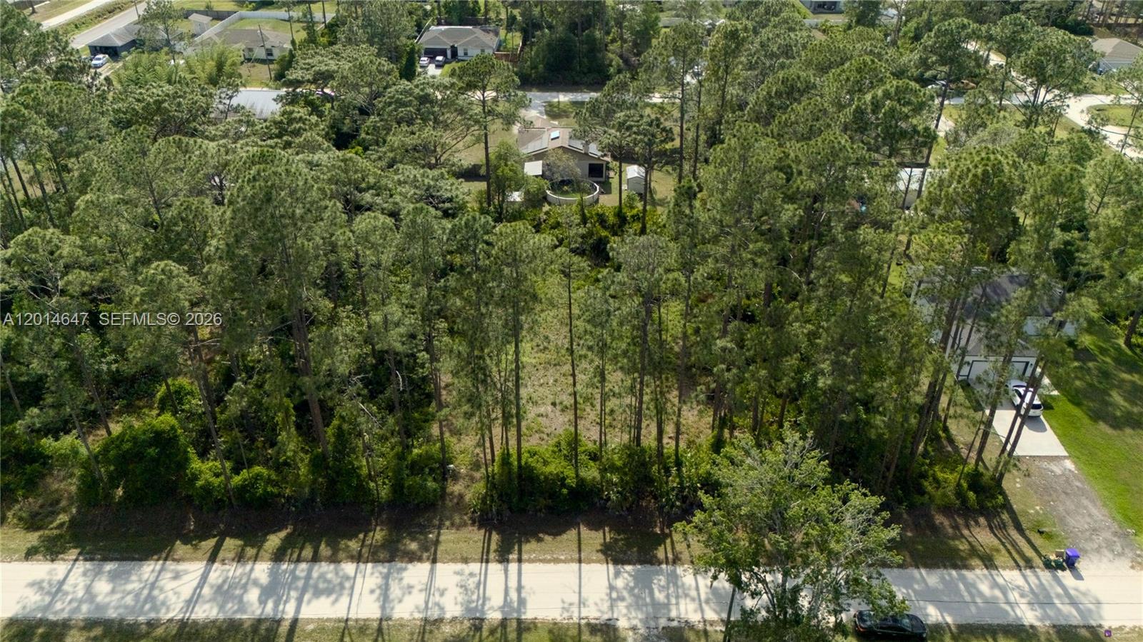 2124 East Parkway Property Photo 14