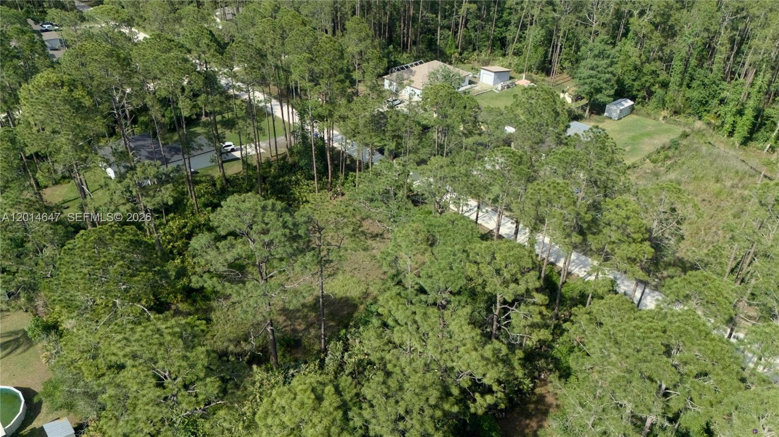 2124 East Parkway Property Photo 19