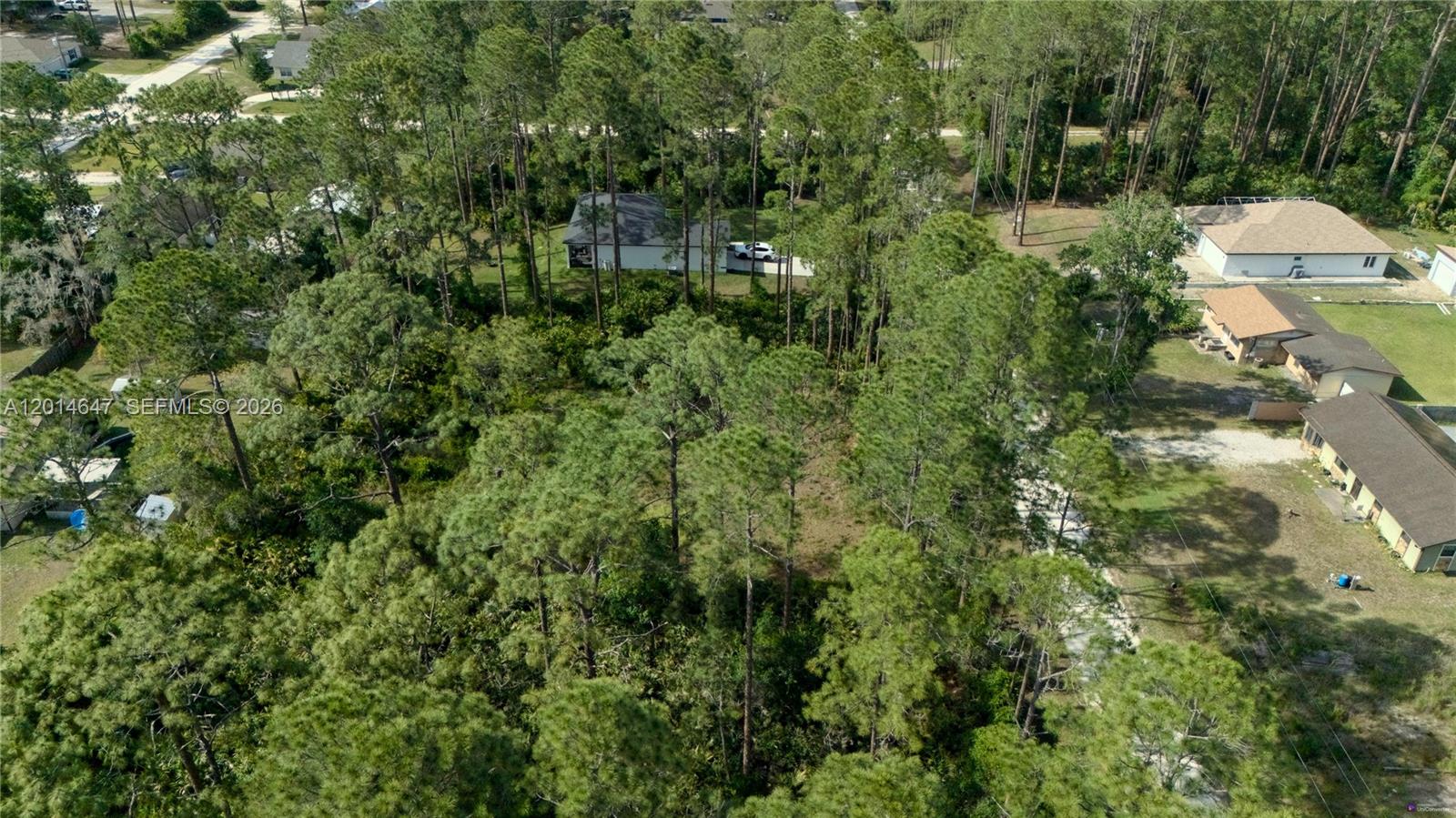 2124 East Parkway Property Photo 20