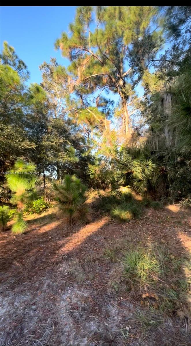 360 N Quebrada Street Property Photo 9