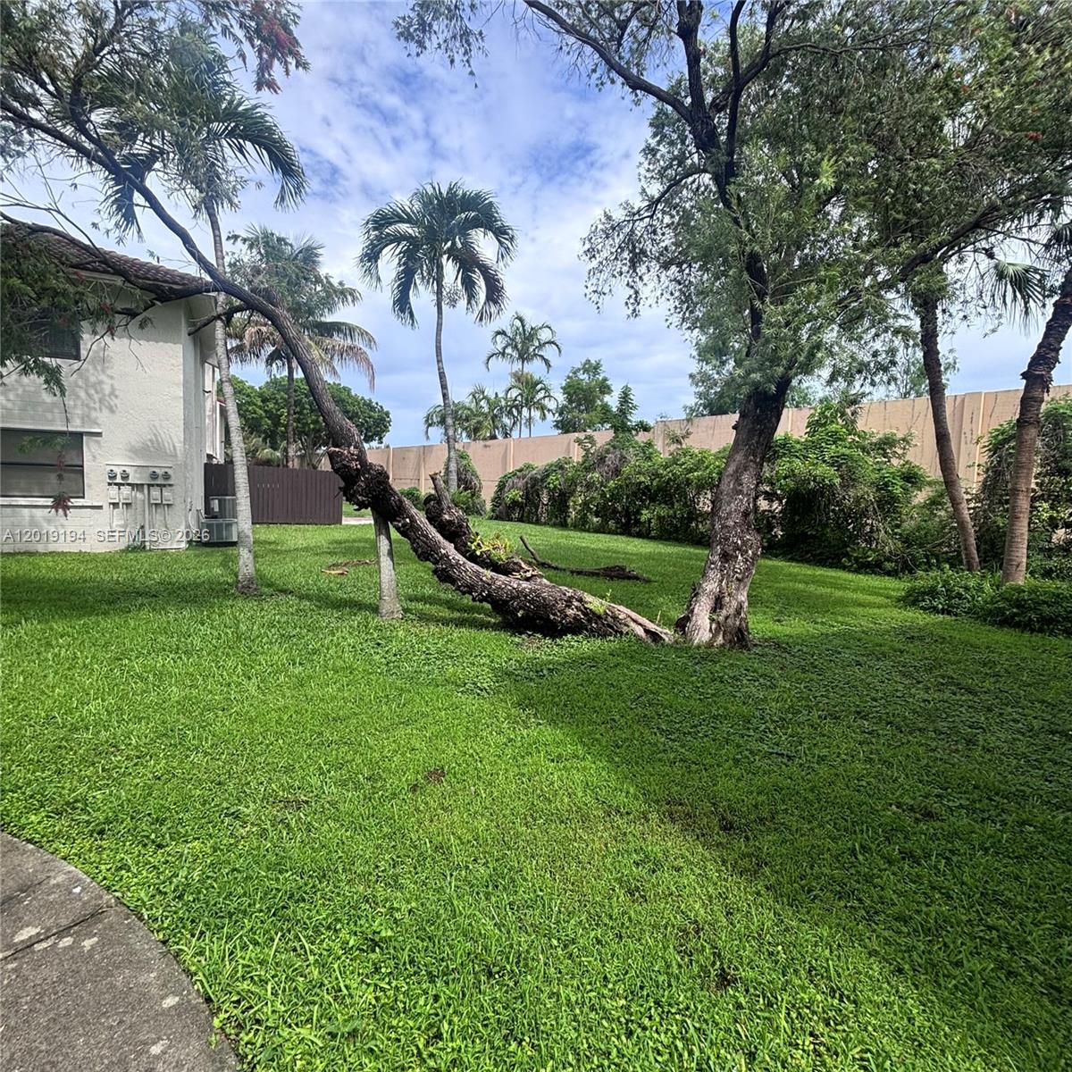 A12019194 Property Photo 2