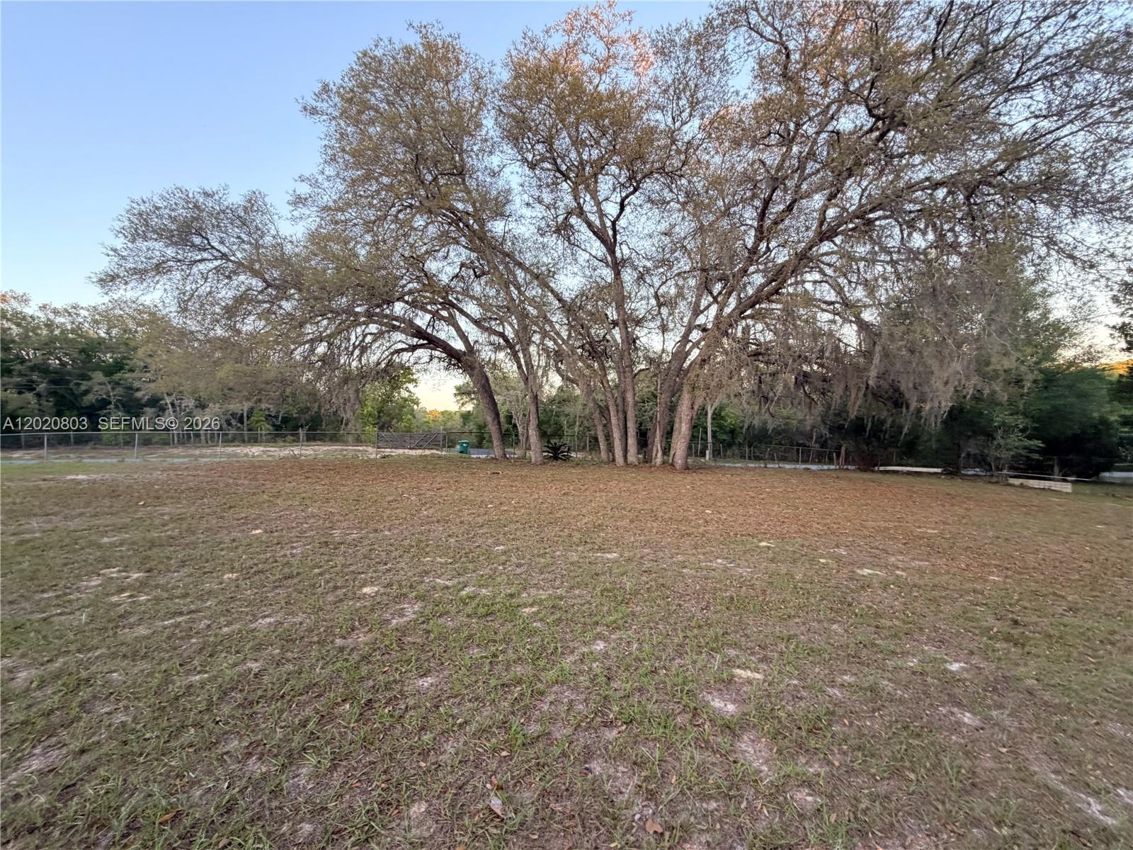 4880 N Highland Park Property Photo 73
