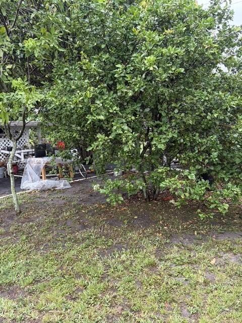 336 E 41st Street Property Photo 11