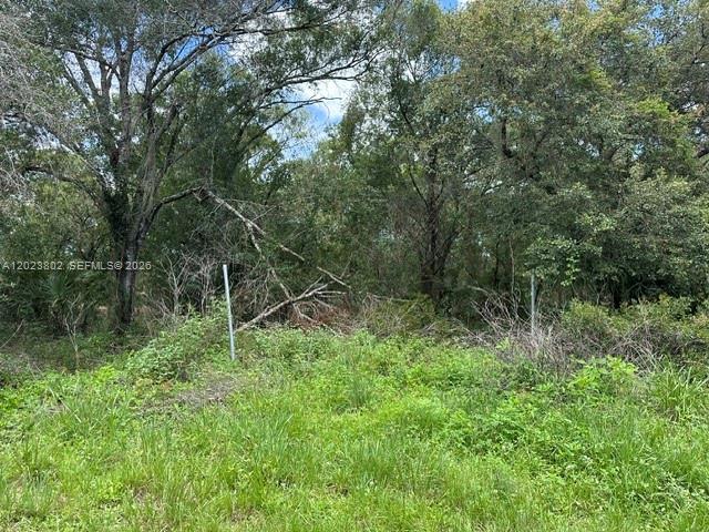 130 S Brida Property Photo 3