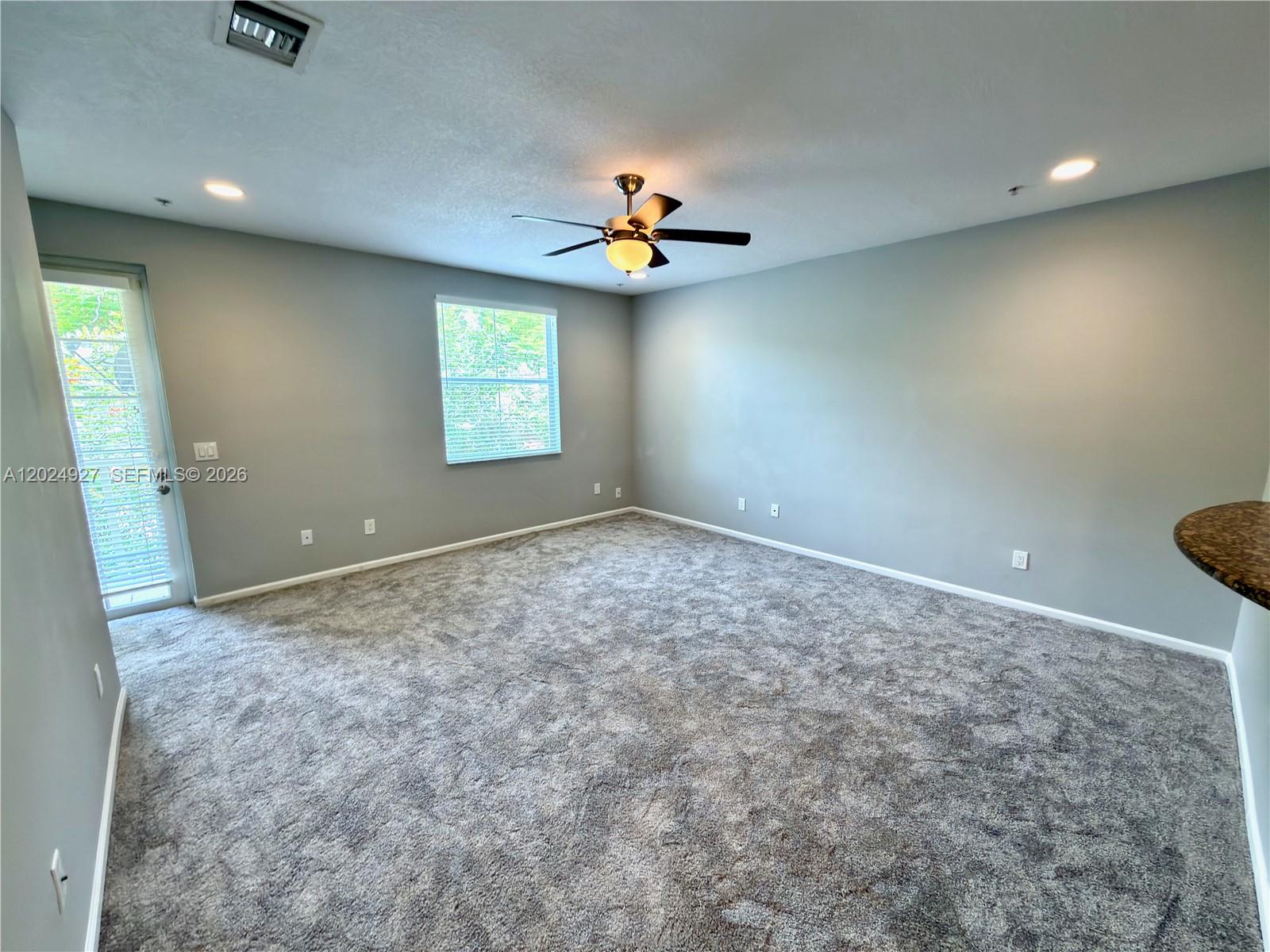 3909 White Peacock Lane Property Photo 6