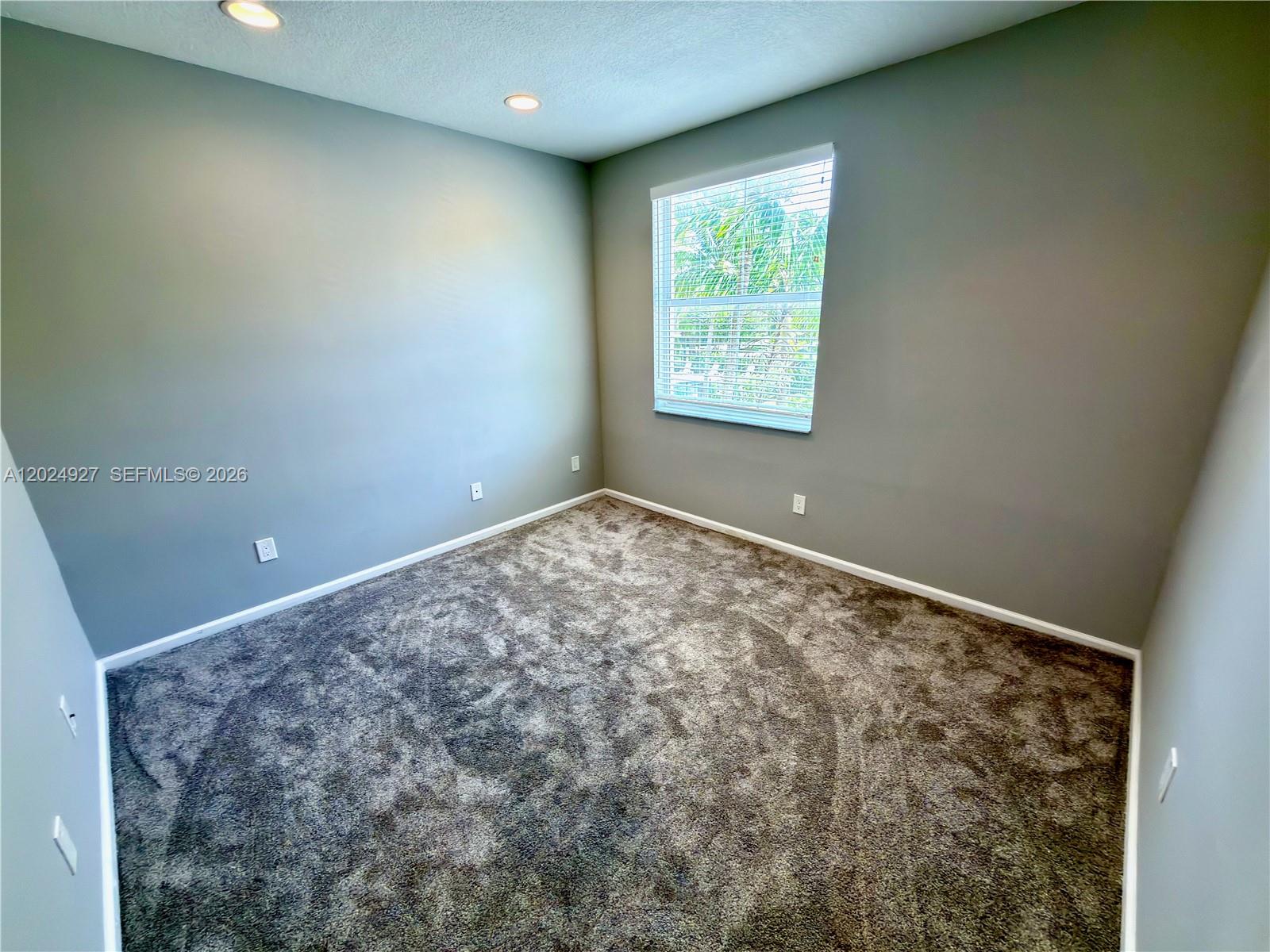 3909 White Peacock Lane Property Photo 17