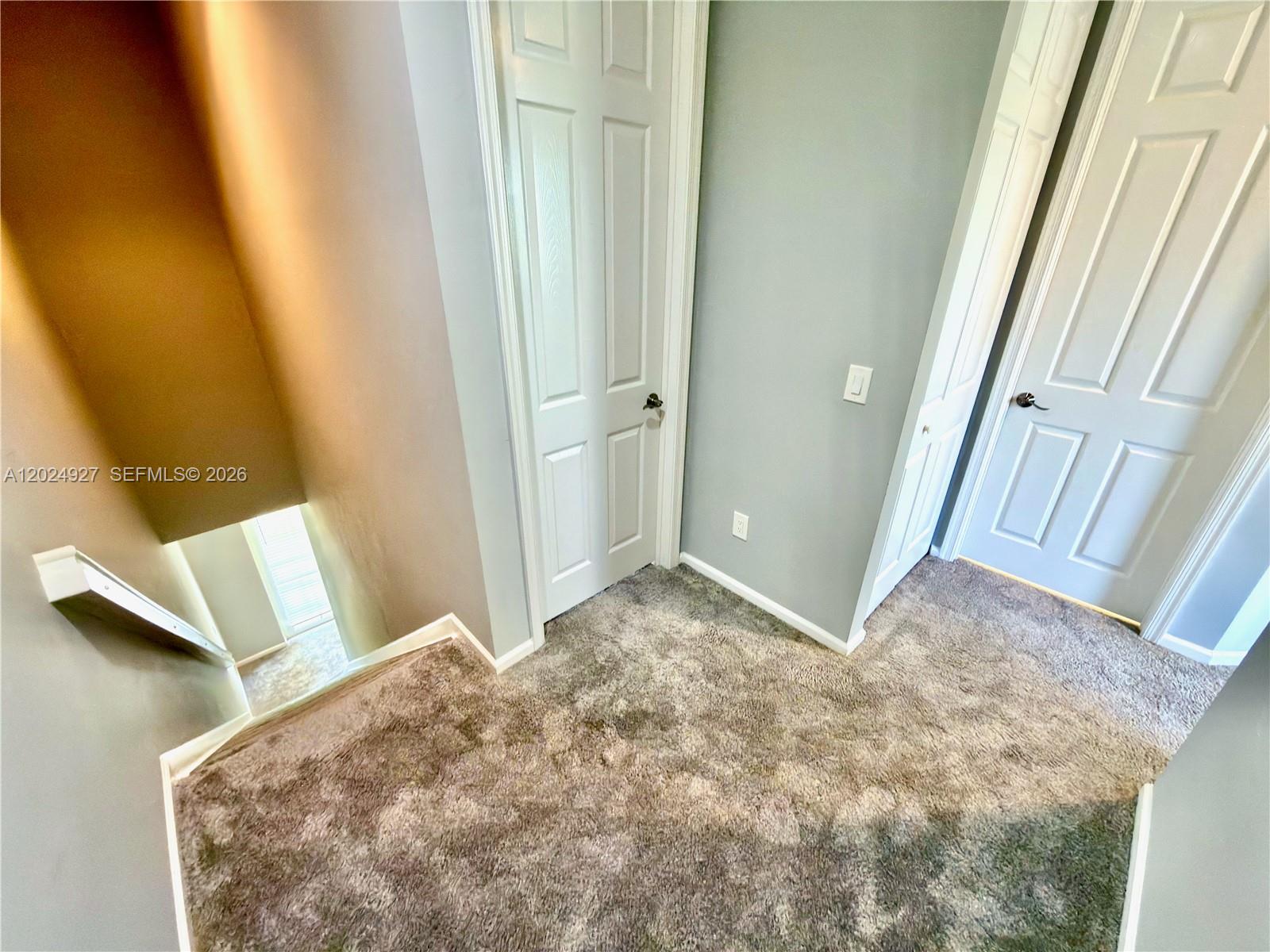 3909 White Peacock Lane Property Photo 25