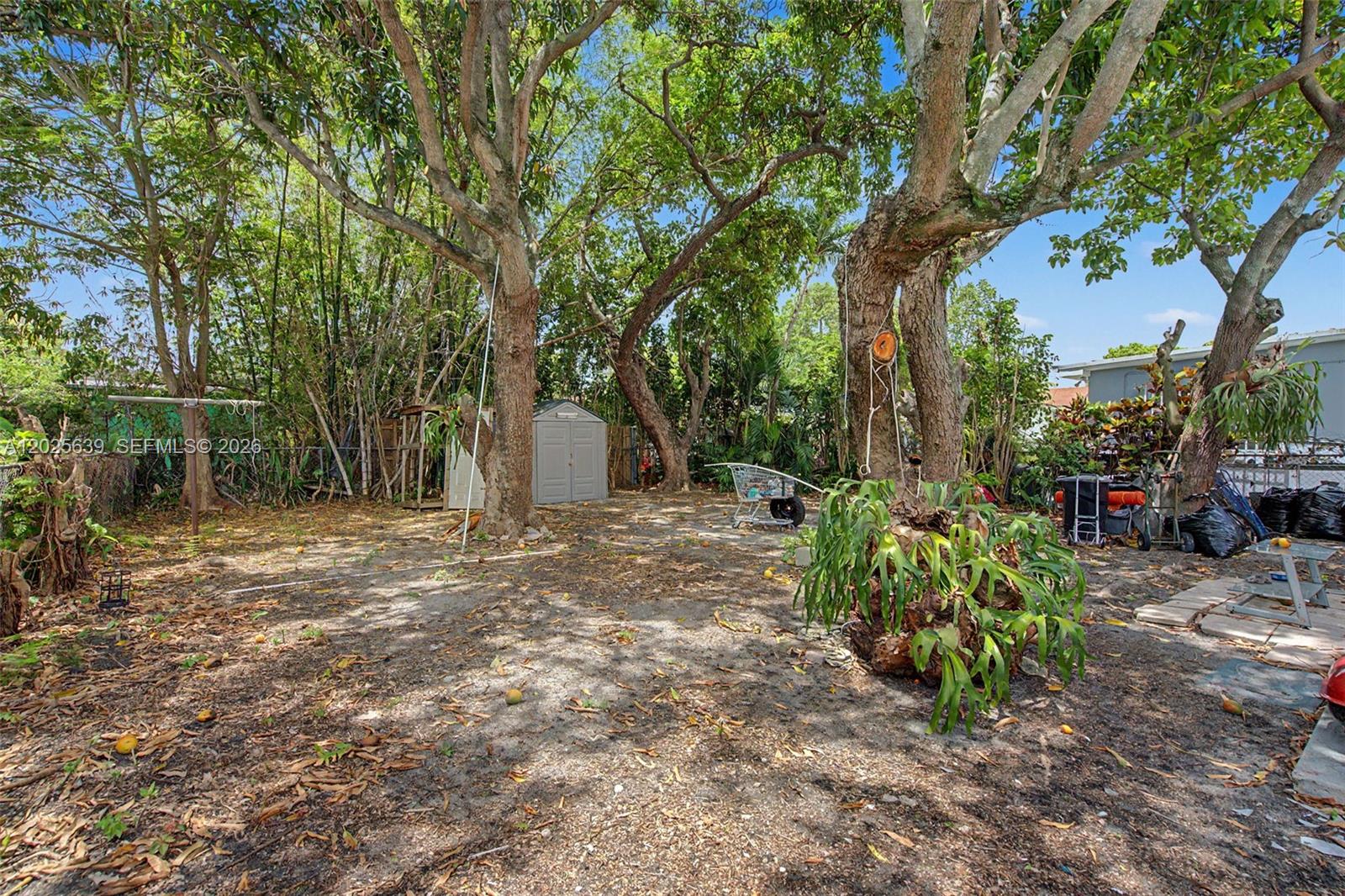 A12025639 Property Photo 6