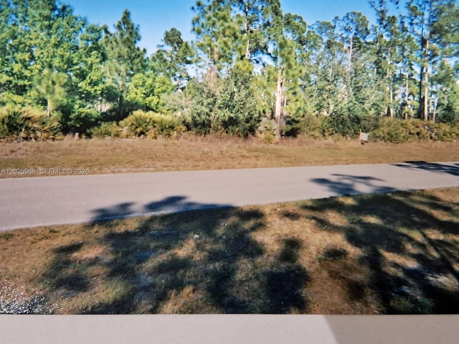 757 Appaloosa Avenue Property Photo 1