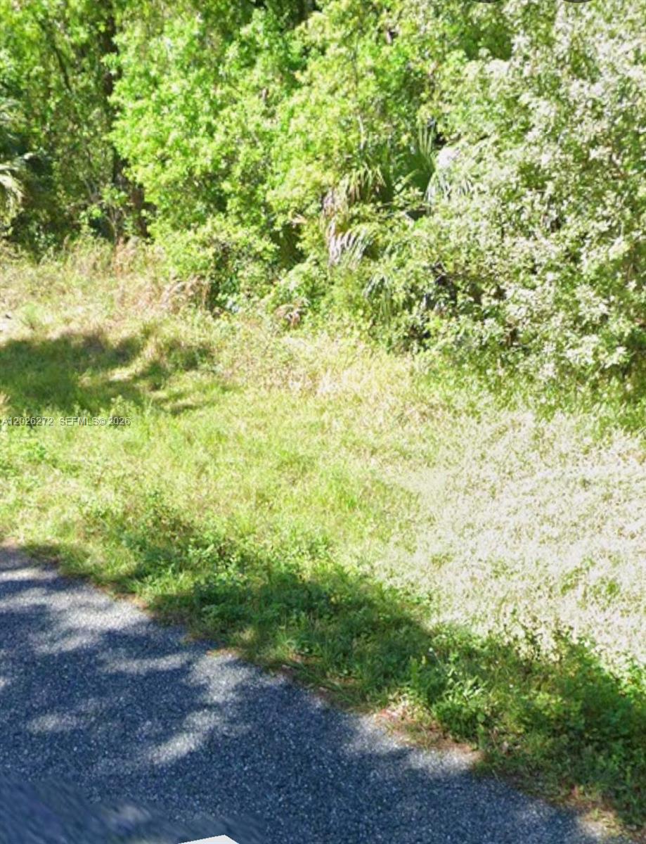 81 Magnolia Court Property Photo 4